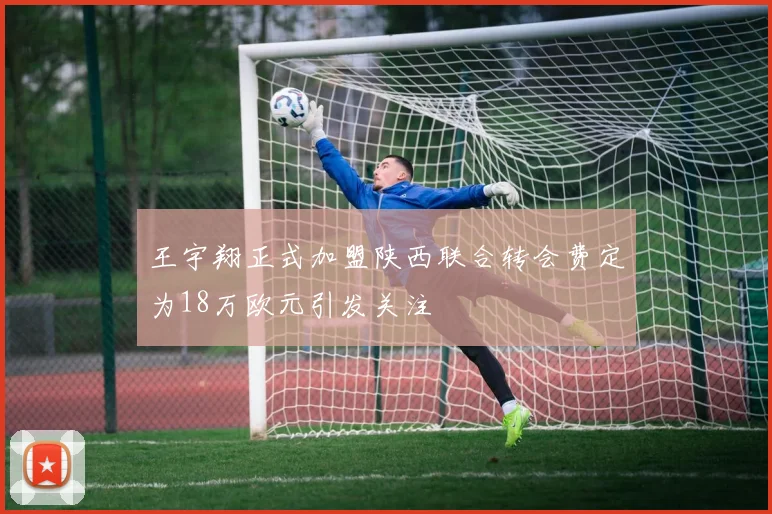 王宇翔正式加盟陕西联合转会费定为18万欧元引发关注