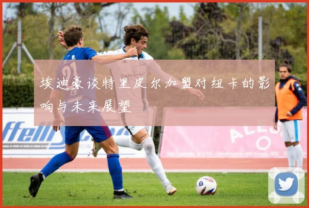 埃迪豪谈特里皮尔加盟对纽卡的影响与未来展望
